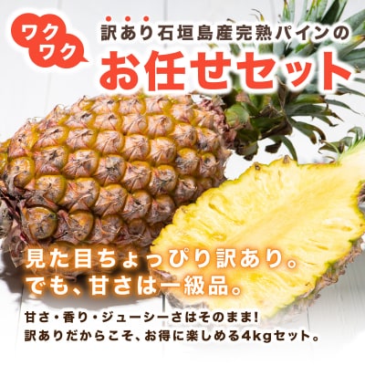 【2026年7月以降順次発送】川平パイン お徳用訳あり4kg ( 品種・玉数・サイズお任せ ) 