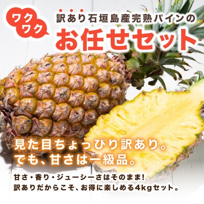 【2026年7月以降順次発送】川平パイン お徳用訳あり4kg ( 品種・玉数・サイズお任せ ) 