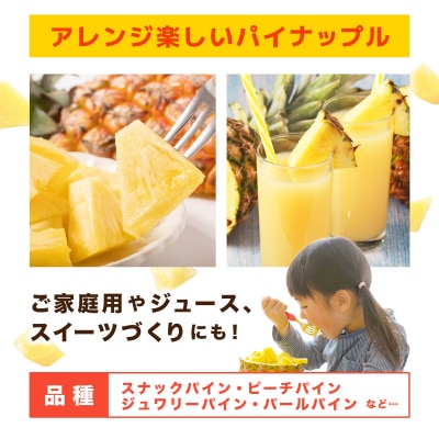 【2026年7月以降順次発送】川平パイン お徳用訳あり4kg ( 品種・玉数・サイズお任せ ) 