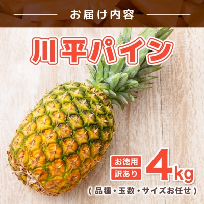 【2026年7月以降順次発送】川平パイン お徳用訳あり4kg ( 品種・玉数・サイズお任せ ) 