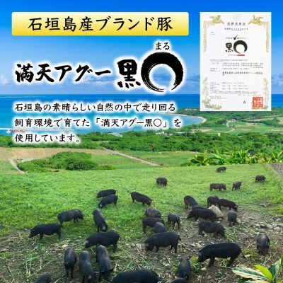 満天アグーお肉ゴロゴロカレー230g×3袋 