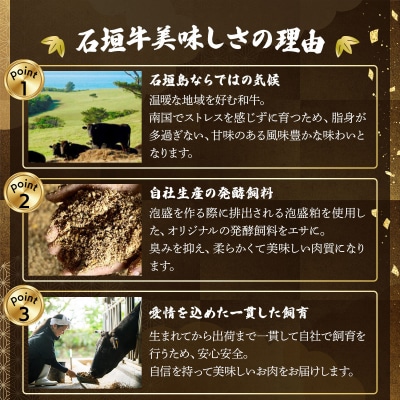 石垣島産経産黒毛和牛 1頭切り落とし 1kg
