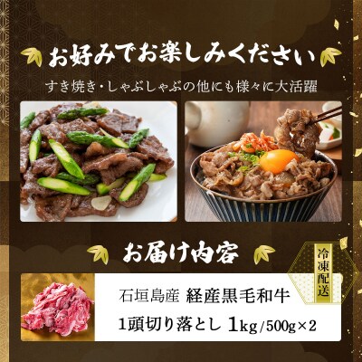 石垣島産経産黒毛和牛 1頭切り落とし 1kg