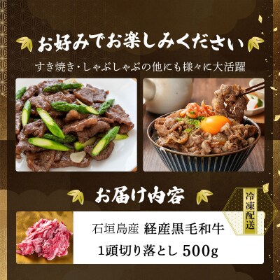 石垣島産経産黒毛和牛 1頭切り落とし 500g