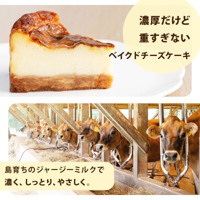 【石垣島 まぁじゅんのジャージー牧場】ジャージーミルクのベイクドチーズケーキ