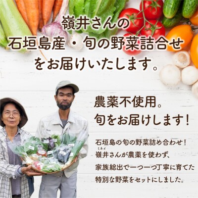 嶺井さんの石垣島旬の野菜詰合せ(標準セット)OI-22