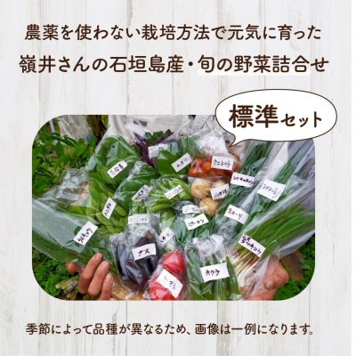 嶺井さんの石垣島旬の野菜詰合せ(標準セット)OI-22
