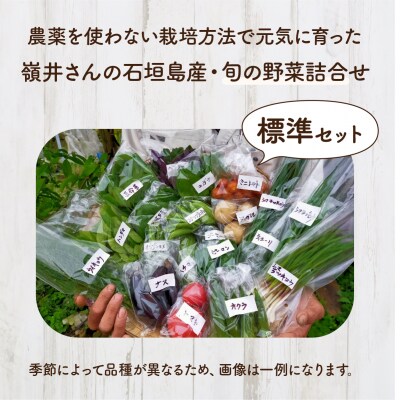 嶺井さんの石垣島旬の野菜詰合せ(標準セット)OI-22