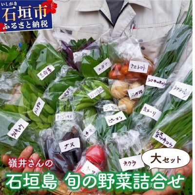 嶺井さんの石垣島旬の野菜詰合せ(大セット)OI-23