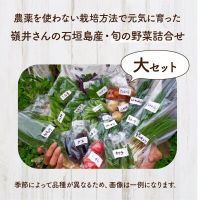 嶺井さんの石垣島旬の野菜詰合せ(大セット)OI-23