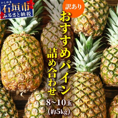 訳あり 石垣さんちのおすすめパイン詰め合わせ 8～10玉 (約5kg)