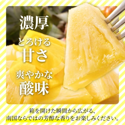 【先行予約】訳あり 石垣さんちのおすすめパイン詰め合わせ 8～10玉 (約5kg)