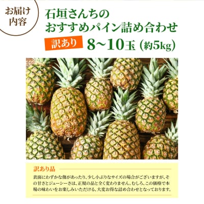 訳あり 石垣さんちのおすすめパイン詰め合わせ 8～10玉 (約5kg)