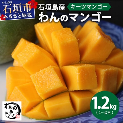 <わんのマンゴー>石垣島産マンゴー【キーツ】NA-05