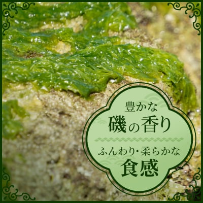 沖縄の海の恵み アーサ(あおさ)4パック CK-08