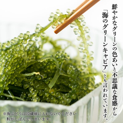 沖縄の海の恵み　3点セット(海ぶどう、天然もずく2パック、アーサ) もずくのタレ1本付 CK-13