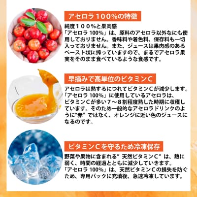 石垣島産 天然アセロラ100%ジュース (100g/pc) × 10pc