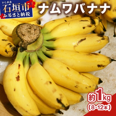≪2026年4〜10月順次発送≫ 石垣島産 ナムワバナナ 約1kg(8-12本)