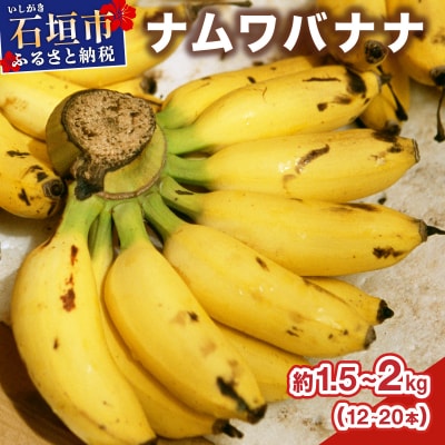 ≪2026年4〜10月順次発送≫ 石垣島産 ナムワバナナ約1.5-2kg(12-20本)