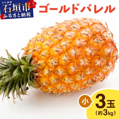 ≪5月上旬順次発送≫ゴールドバレル 小 3玉(約3kg) TP-15