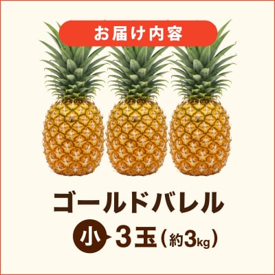 ≪5月上旬順次発送≫ゴールドバレル 小 3玉(約3kg) TP-15