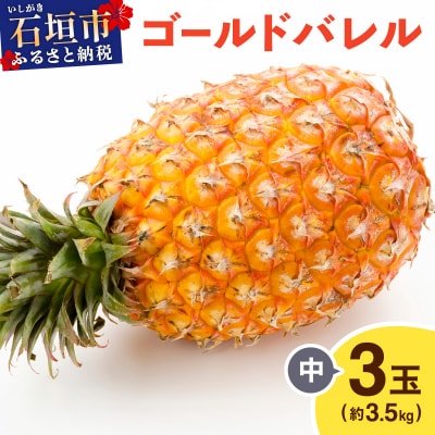 ≪5月上旬順次発送≫ゴールドバレル 中 3玉(約3.5kg) TP-16