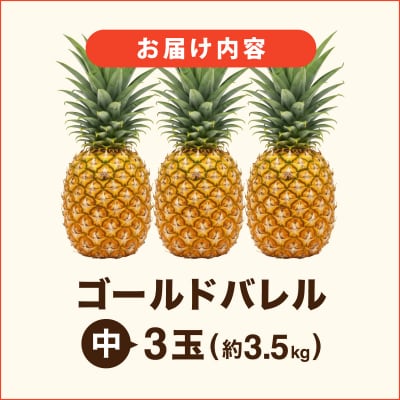 ≪5月上旬順次発送≫ゴールドバレル 中 3玉(約3.5kg) TP-16