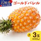 ≪5月上旬順次発送≫ゴールドバレル 大 3玉(約4.5kg) TP-17