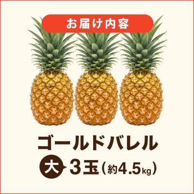 ≪5月上旬順次発送≫ゴールドバレル 大 3玉(約4.5kg) TP-17