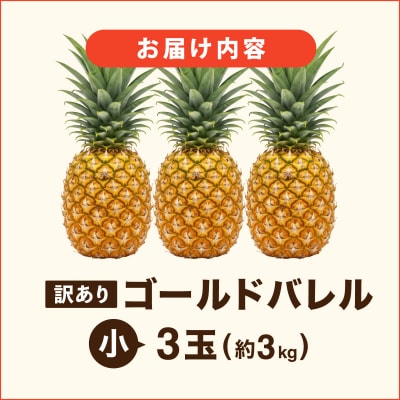 ≪5月上旬順次発送≫ 訳あり ゴールドバレル 小 3玉(約3kg) TP-18
