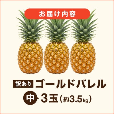 ≪5月上旬順次発送≫ 訳あり ゴールドバレル 中 3玉(約3.5kg) TP-19