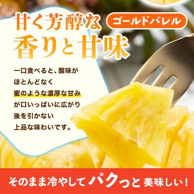 ≪5月上旬順次発送≫ 訳あり ゴールドバレル 大 3玉(約4.5kg) TP-20