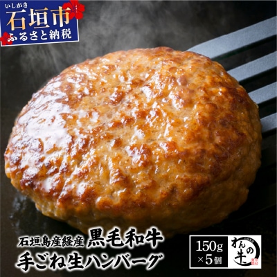 <わんの牛>石垣島産経産黒毛和牛手ごね生ハンバーグセット 150g×5個 NA-04
