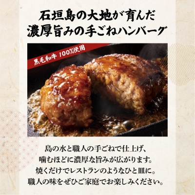 <わんの牛>石垣島産経産黒毛和牛手ごね生ハンバーグセット 150g×5個 NA-04