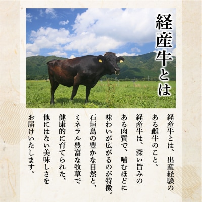 <わんの牛>石垣島産経産黒毛和牛手ごね生ハンバーグセット 150g×5個 NA-04