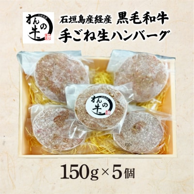 <わんの牛>石垣島産経産黒毛和牛手ごね生ハンバーグセット 150g×5個 NA-04