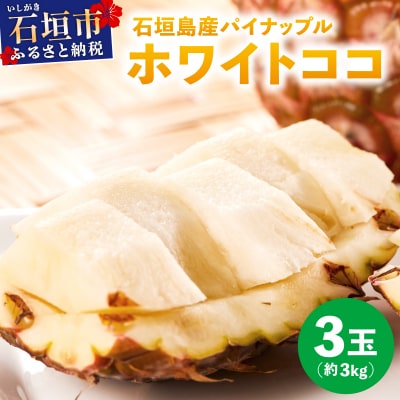 ≪6月上旬順次発送≫ 石垣島産パイナップル　ホワイトココ　3玉(約3kg)
