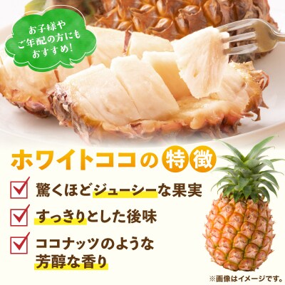 ≪6月上旬順次発送≫ 石垣島産パイナップル　ホワイトココ　3玉(約3kg)