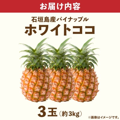 ≪6月上旬順次発送≫ 石垣島産パイナップル　ホワイトココ　3玉(約3kg)