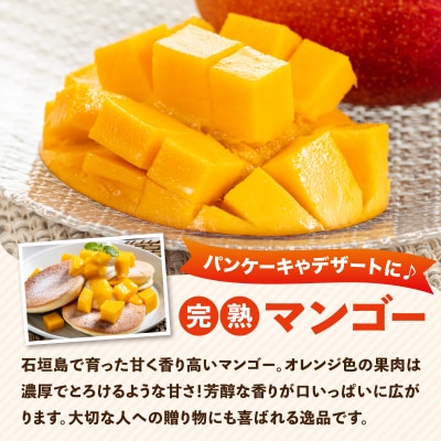 2027年5月から発送4回定期便 石垣島産パイナップル約2kg×3回・マンゴー約1kg×1回セット