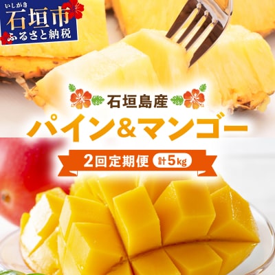 【2027年5月から発送 2回定期便】石垣島産パイナップル 約4kg ・マンゴー約1kgセット