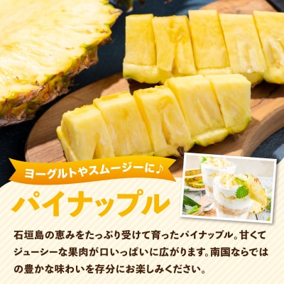 【2026年5月から発送 2回定期便】石垣島産パイナップル 約4kg ・マンゴー約1kgセット