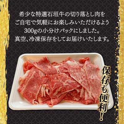 希少な石垣牛をご家庭で!切り落としスライス300g×2パック