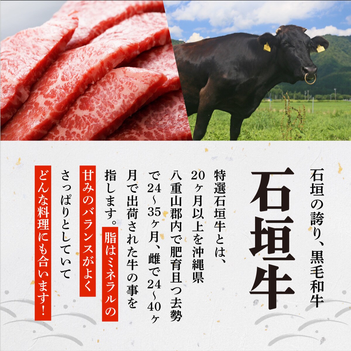 希少な石垣牛をご家庭で!肉の旨味と脂の甘さ際立つサーロインステーキ　合計400g