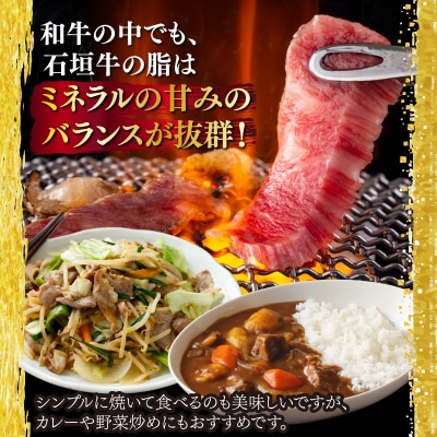 希少な石垣牛をご家庭で!切り落とし焼肉用300g&石垣牛 MARU秘伝の焼肉タレ100ml×1本