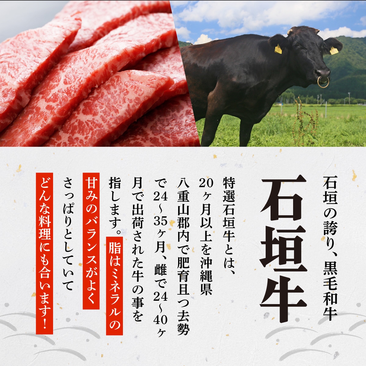 上ロース焼肉用200g×2パック & 石垣牛 MARU秘伝の焼肉タレ100ml×1本