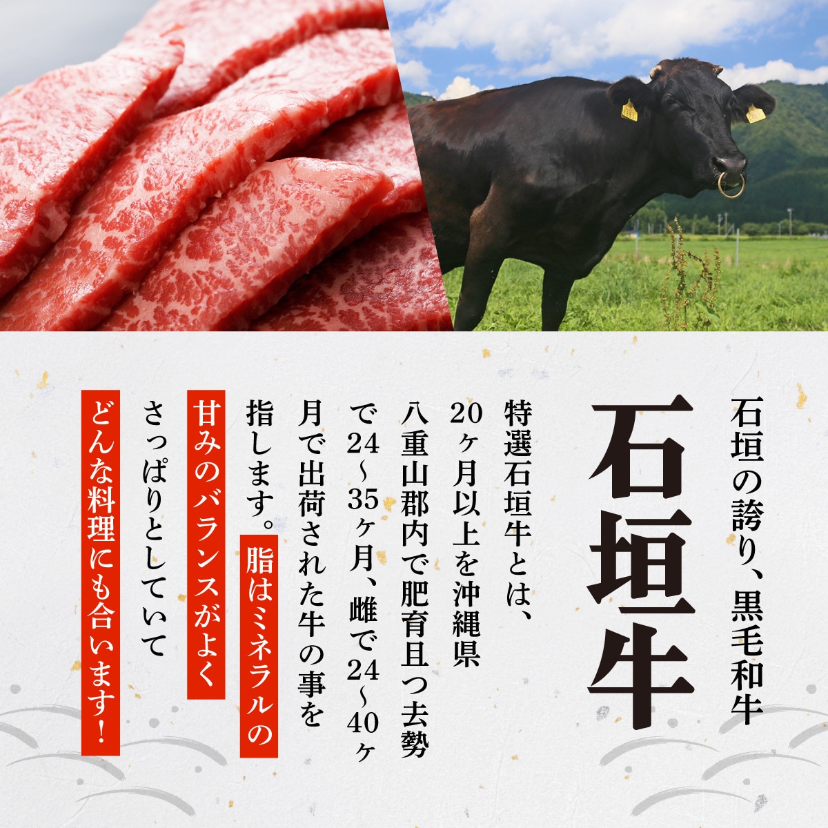 切り落とし焼き肉用とスライスの食べ比べ 合計600g &石垣牛 焼肉タレ100ml×1本
