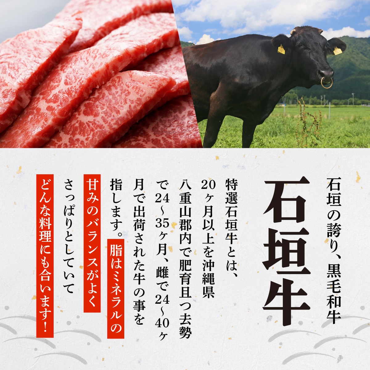 上カルビ(ナカバラ/トモバラ/三角バラ)焼肉用200g×2パック & 石垣牛 焼肉タレ100ml×1
