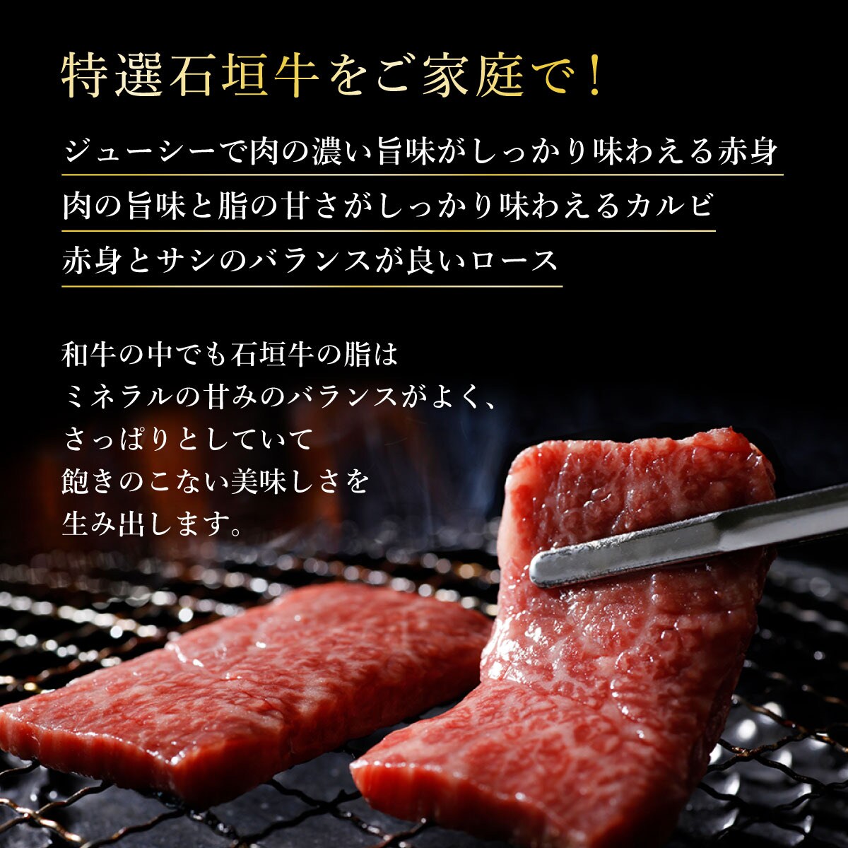 赤身(モモ、ランプ)とカルビとロースよくばり焼肉食べ比べセット合計600g 石垣牛 焼肉タレ