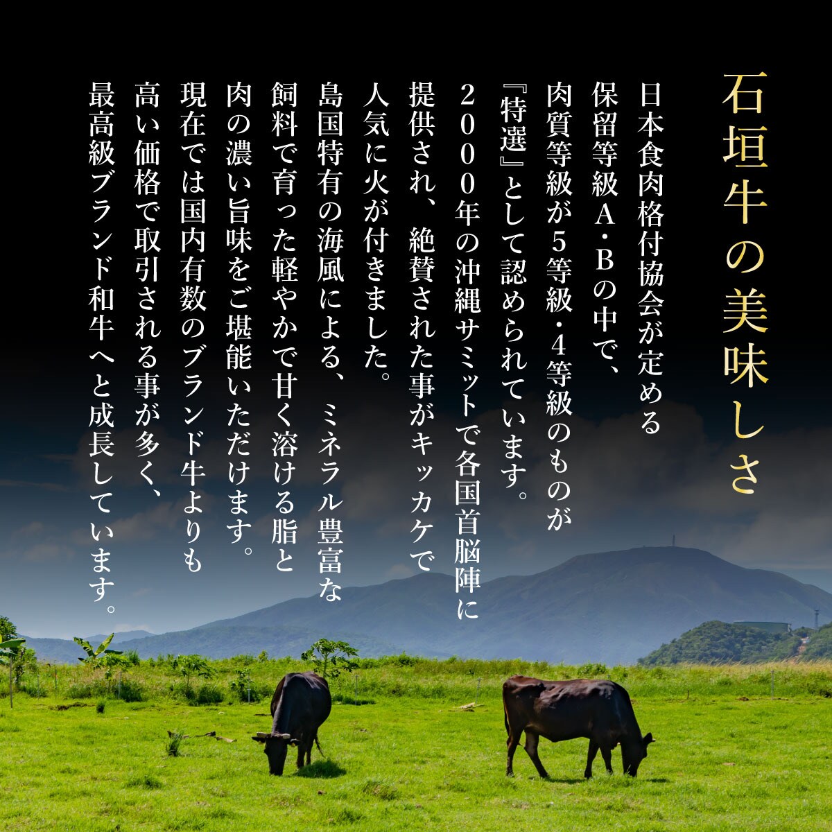 赤身(モモ、ランプ)とカルビとロースよくばり焼肉食べ比べセット合計600g 石垣牛 焼肉タレ